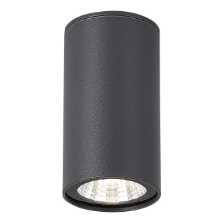 SL9514.702.01 Светильник уличный потолочный ST-Luce серый/белый LED 1*7W 3000K
