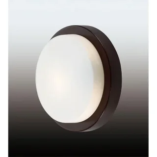 Потолочный светильник Odeon Light Holger 2744/1C