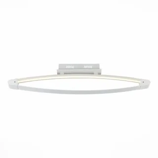 Накладной светильник ST-Luce SL920.102.01