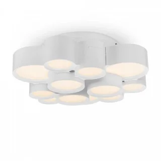 Потолочный светильник FR6043CL-L30W