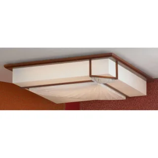Потолочный светильник Lussole Barbara LSF-9022-03