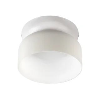 Накладной светильник LOFT IT 10466 Milky white