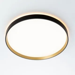 Накладной светильник Citilux CL750401R