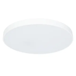 Потолочный светильник Arte Lamp ARENA A2671PL-1WH