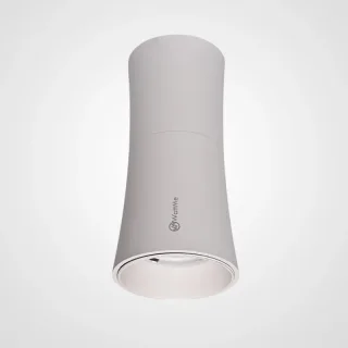 Накладной светильник ImperiumLoft 314096-26
