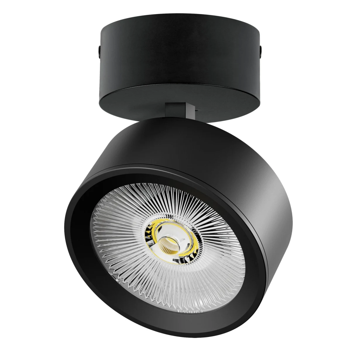 Светильник накладной LED 30W с накладной чашей Alta Pro Lightstar A5647SO