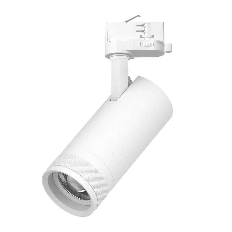 Светильник на шине Lightstar C4206QT