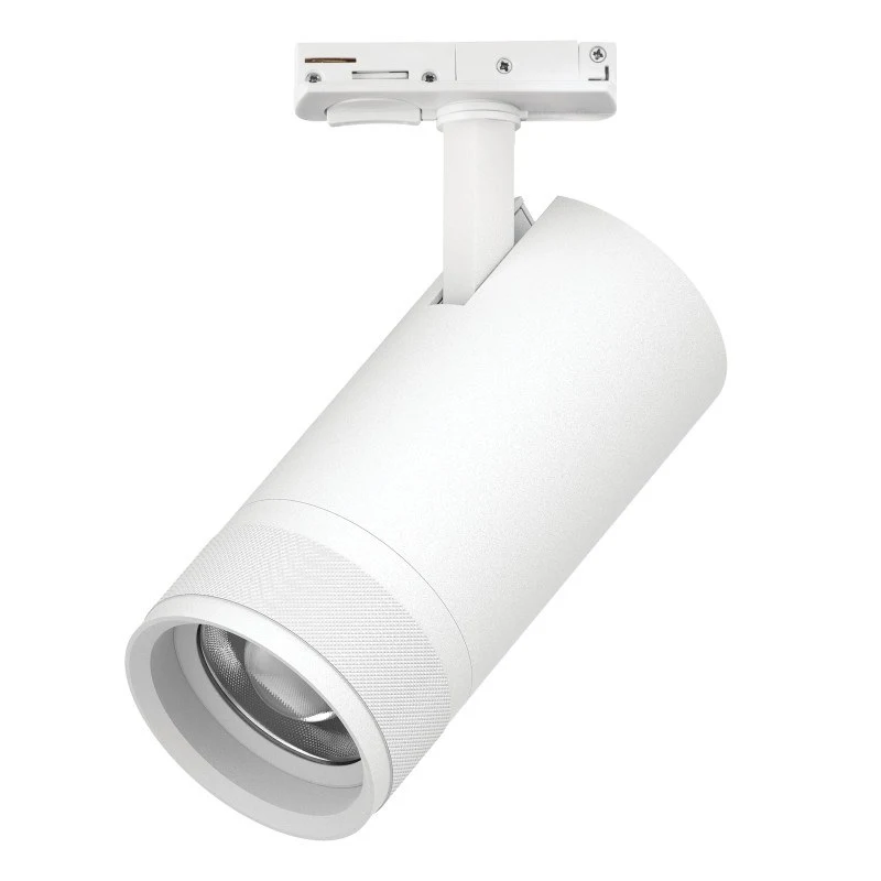 Светильник на шине Lightstar C4306SS