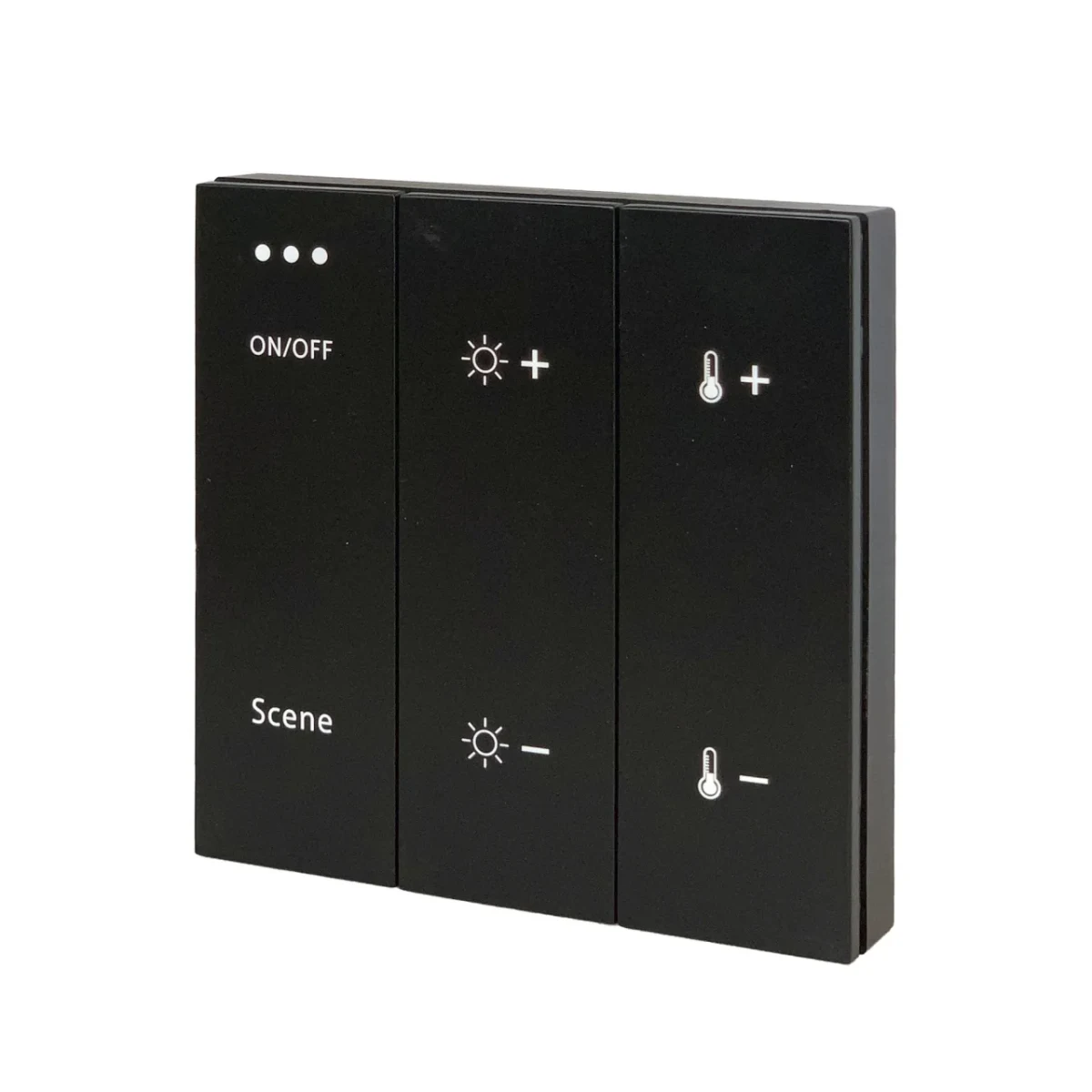 ST015.400.99 Беспроводная панель управления для SKYLIINE 220/SKYLINE 48 Черный