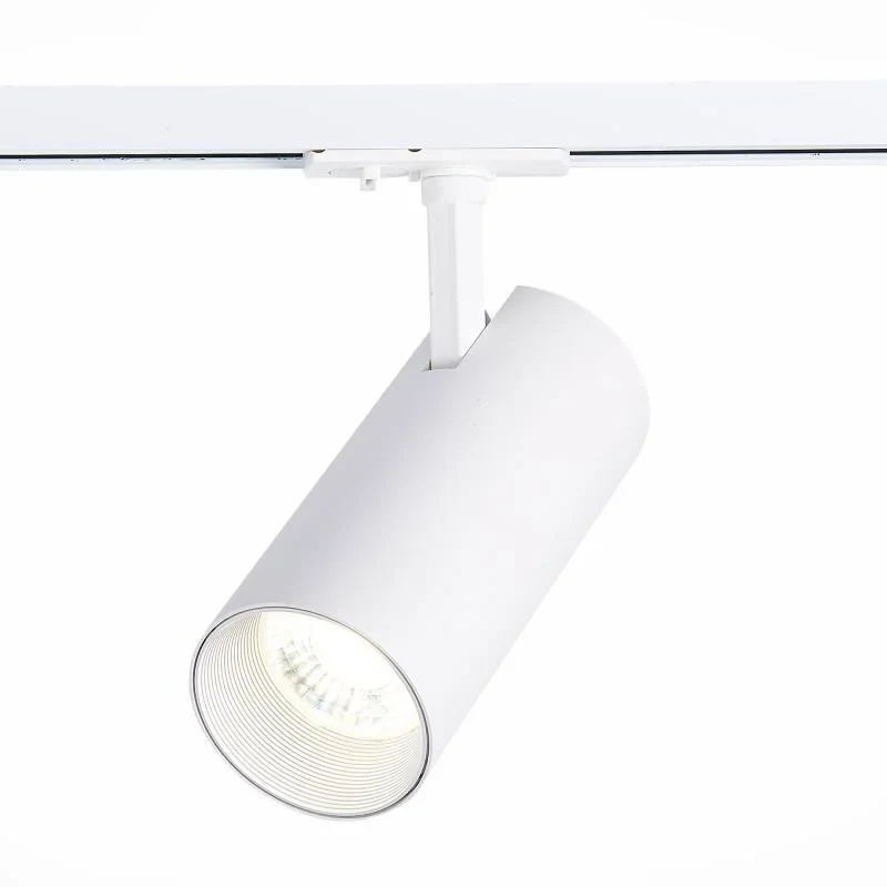 Светильник на шине ST-Luce ST350.546.30.36