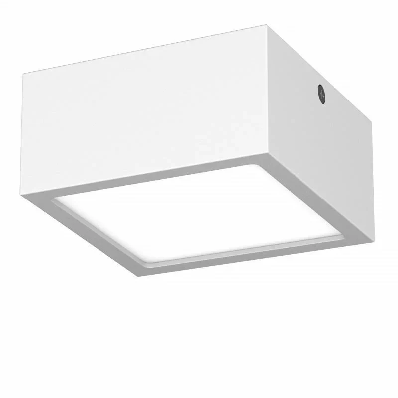 Влагозащищенный светильник Lightstar 213926