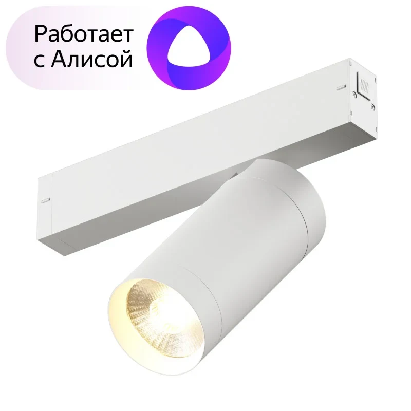 Светильник на шине Denkirs DK8020-WH