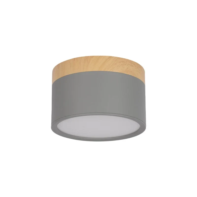 Детский точечный светильник LOFT IT 10162 Grey