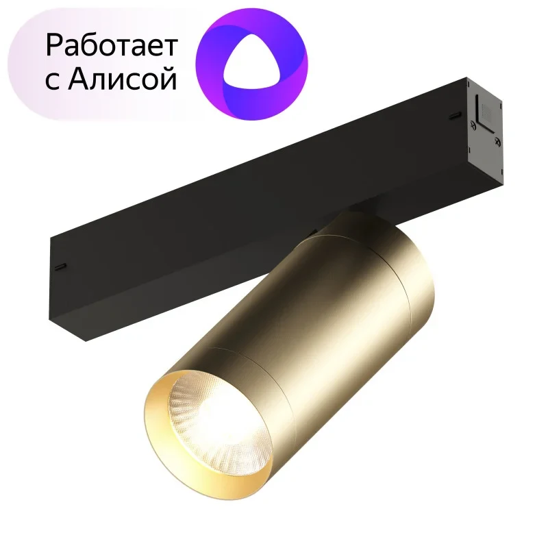 Светильник на шине Denkirs DK8020-BG