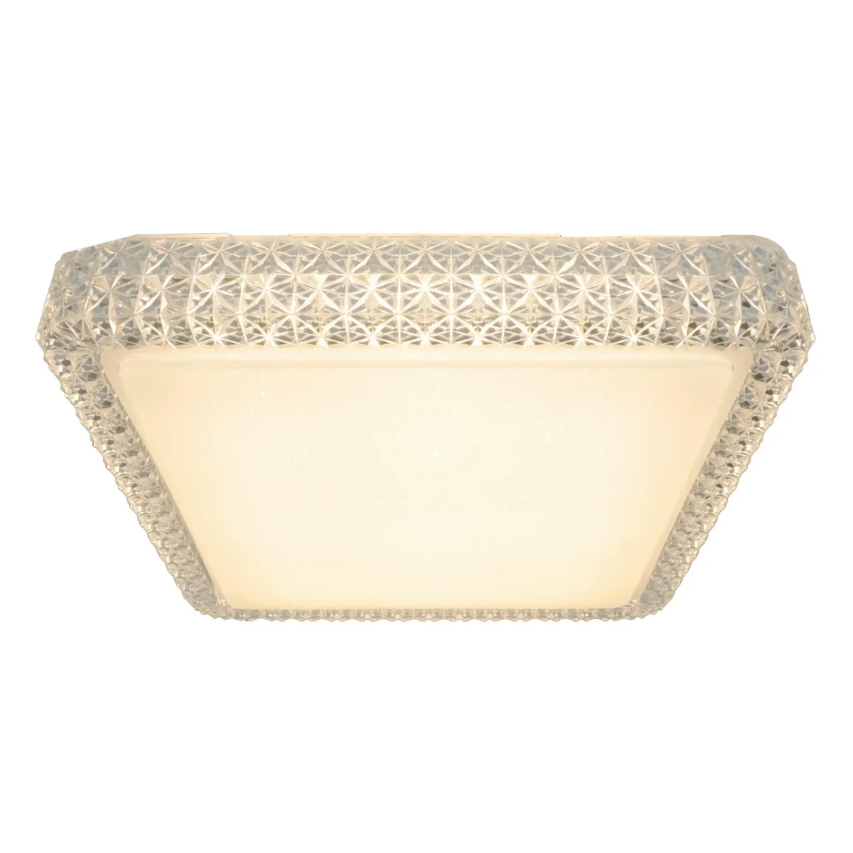 Накладной светильник ARTE Lamp A1570PL-1CL