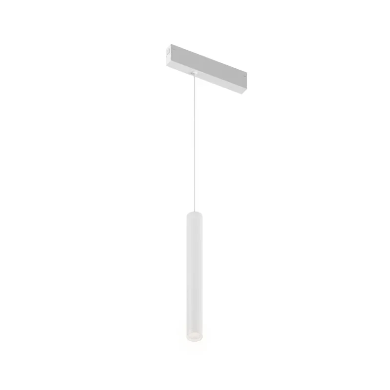 Светильник на шине Denkirs DK8108-WH
