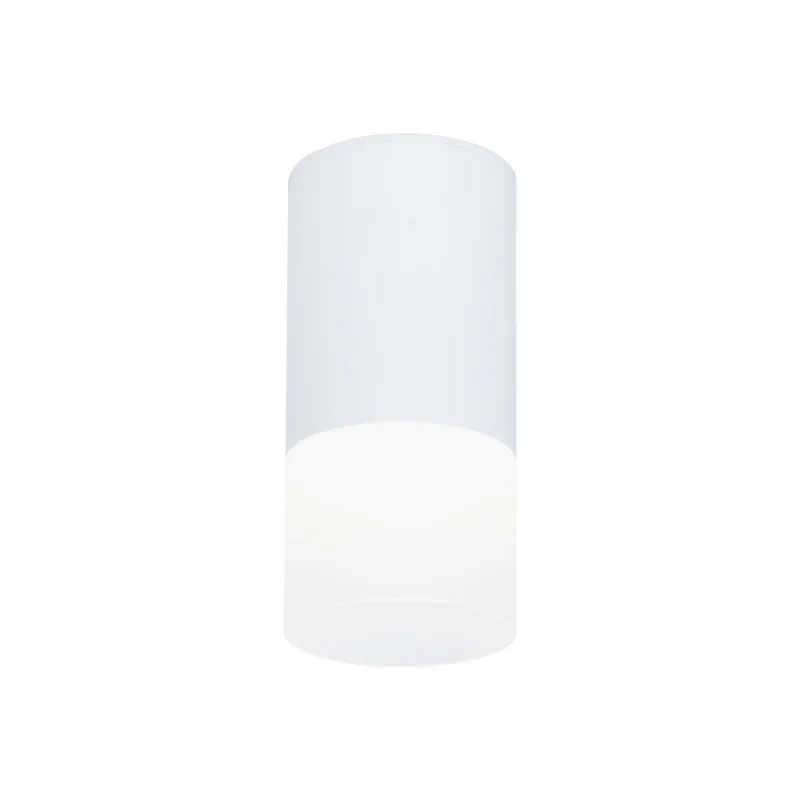 Накладной светильник Ambrella Light TN231