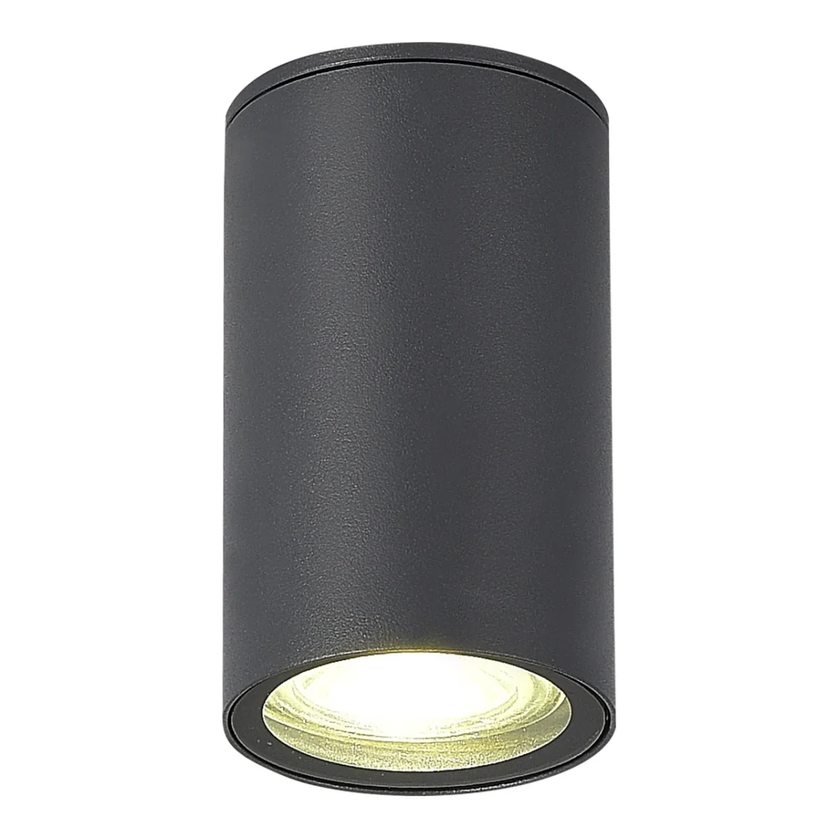 SL9010.712.01 Светильник уличный потолочный ST-Luce серый GU10 1*50W