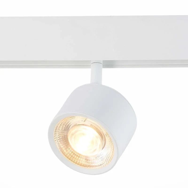 Светильник на шине ST-Luce ST353.536.06