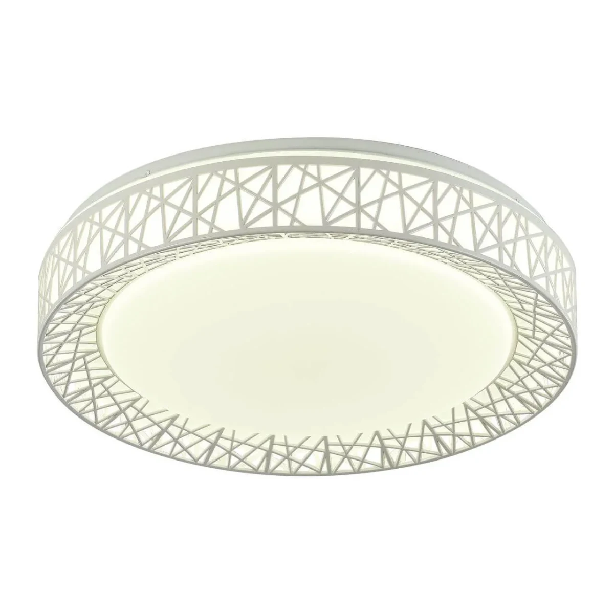 Потолочный светодиодный светильник F-Promo Creatura 2314-5C