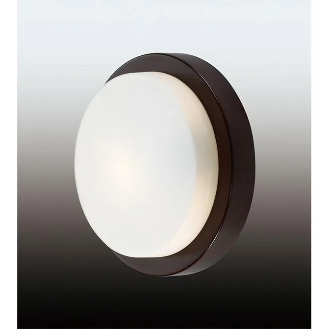 Потолочный светильник Odeon Light Holger 2744/1C
