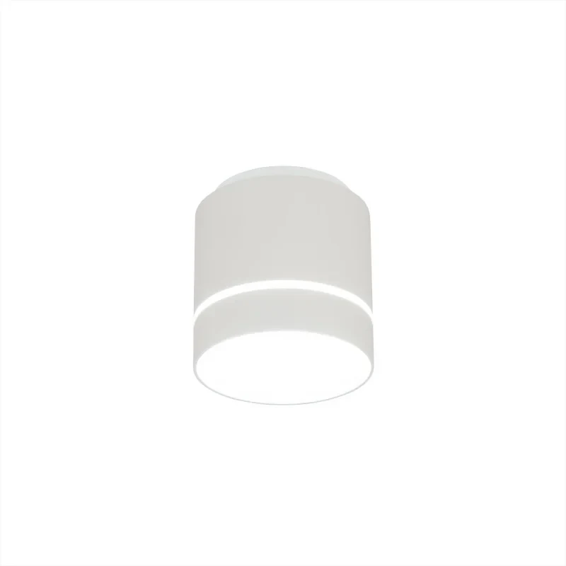 Накладной светильник Citilux CL745020N