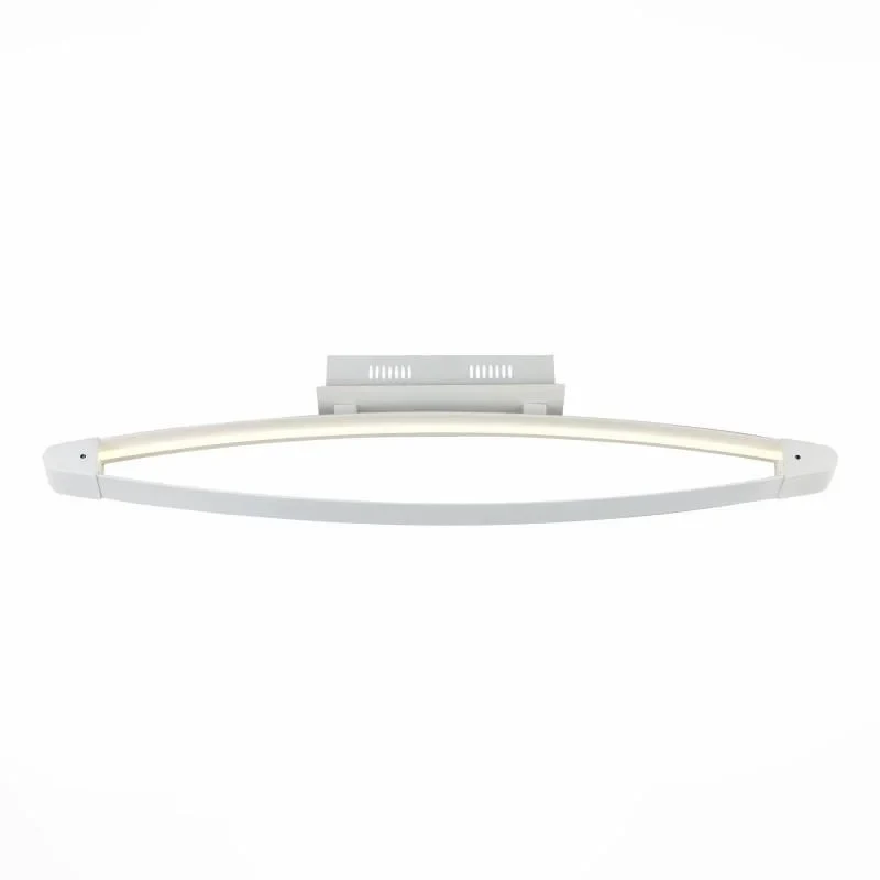 Накладной светильник ST-Luce SL920.102.01