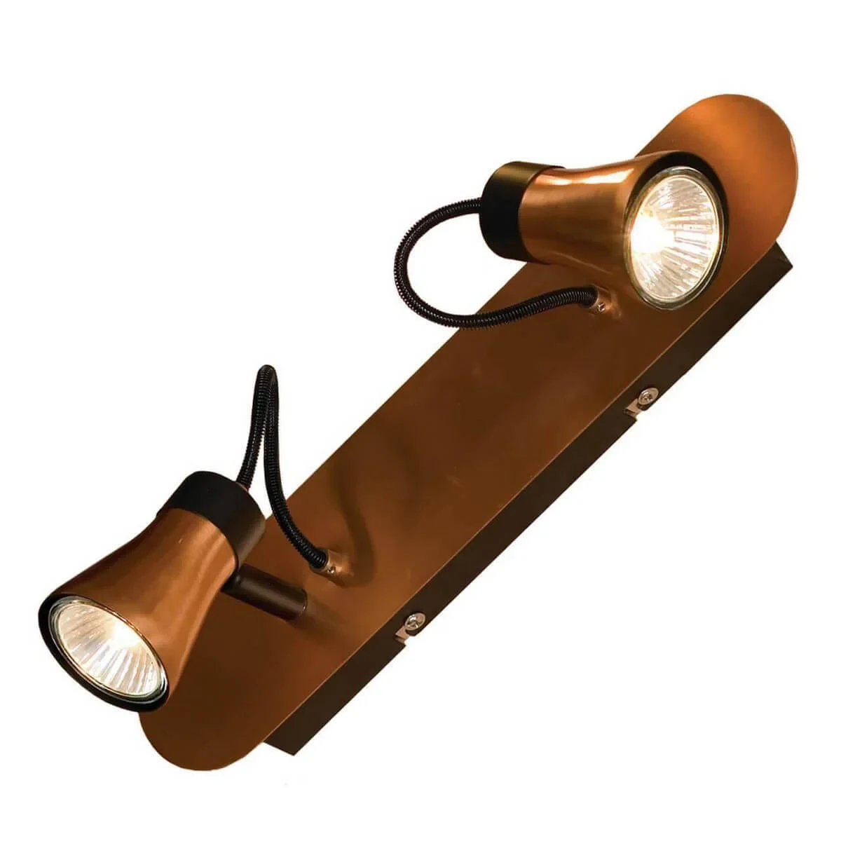 Спот Lussole Loft GRLSL-6801-02