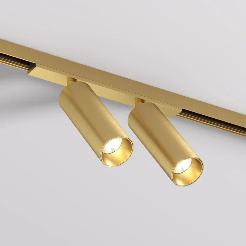 Светильник на шине Denkirs DK5742-SB