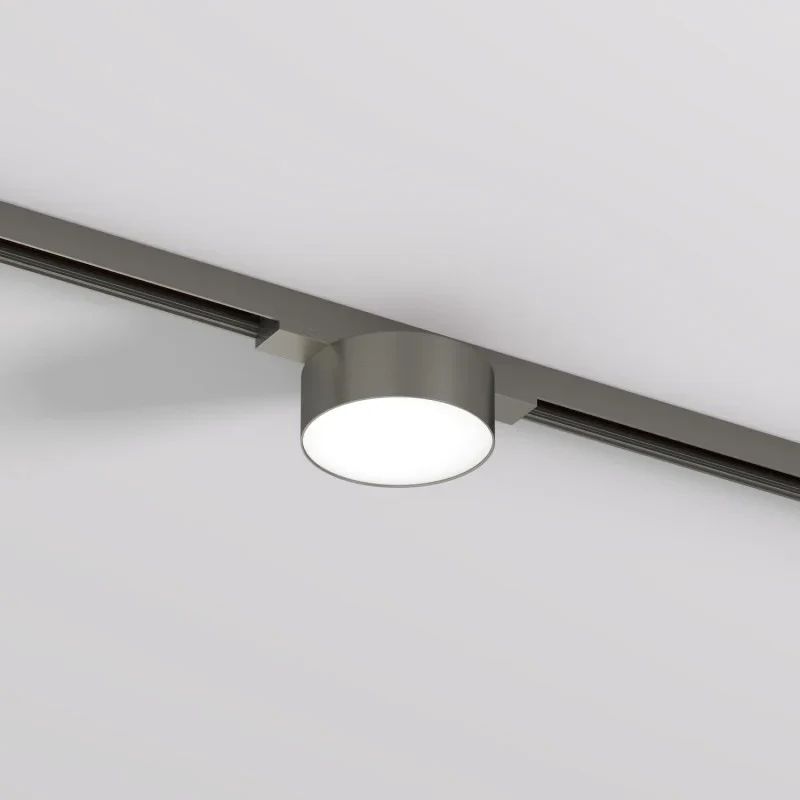 Светильник на шине Denkirs DK5761-DN