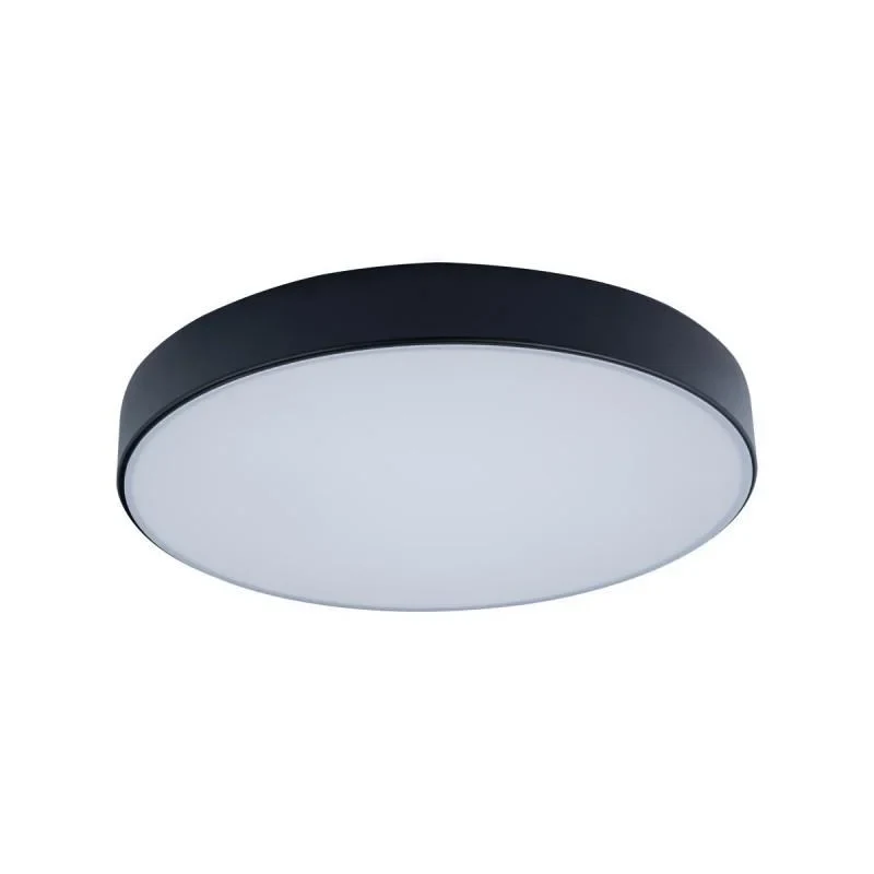 Накладной светильник LOFT IT 10002/24 Black