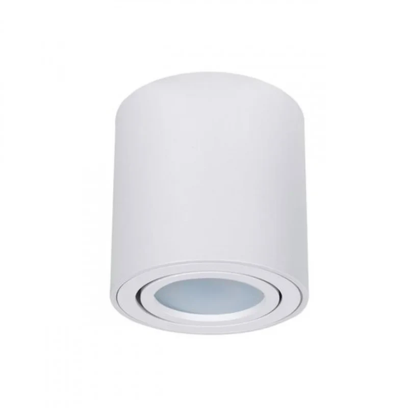 Накладной светильник ARTE Lamp A1513PL-1WH