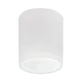 Светильник PVC накладной Solido E27 Lightstar 216626