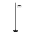 Торшер ARTE Lamp A8042PN-1BK