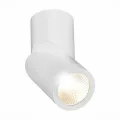 Влагозащищенный светильник ST-Luce ST650.532.10