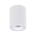 Точечный накладной светильник Arte Lamp IMAI A2267PL-1WH