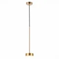 SL6000.303.01 Светильник подвесной ST-Luce Латунь/Латунь LED 1*7W 3000K