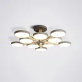 Накладная люстра ImperiumLoft 228862-26