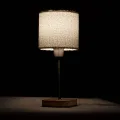 Декоративная настольная лампа Arte Lamp CHARLIE A5071LT-1SS