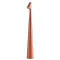 Настольная лампа ARTE Lamp A3283LT-2BR