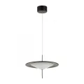 Подвесной светильник Odeon Light 5012/16L