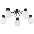 Потолочная люстра Lussole Carpino LSC-8503-05