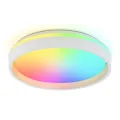 Накладной светильник Ambrella Light FZ601