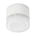 Уличный потолочный светильник Arte Lamp PIAUTOS A1926PF-1WH