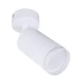 Спот ARTE Lamp A2365PL-1WH
