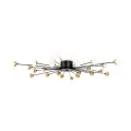 Потолочныйсветильник FR5242CL-24B