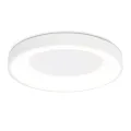 Накладной светильник Ambrella Light FZ1401