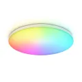 Накладной светильник Ambrella Light FZ2001