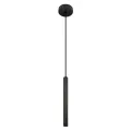 Подвесной светильник LOFT IT 10583D Black