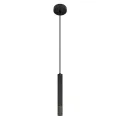 Подвесной светильник LOFT IT 10583C Black
